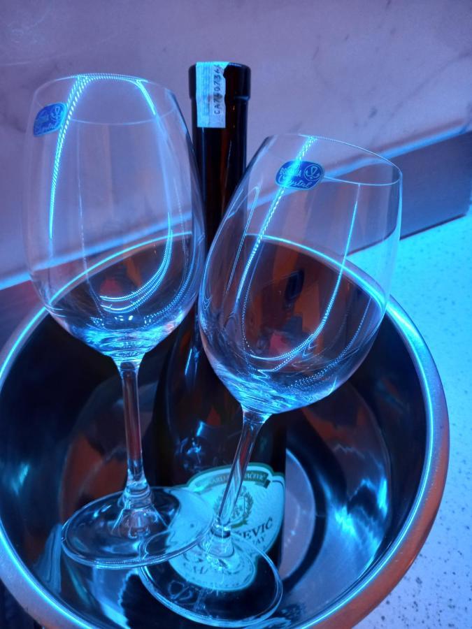 Apartman Vrbas Sa Podzemnom Garazom Banja Luka Eksteriør billede